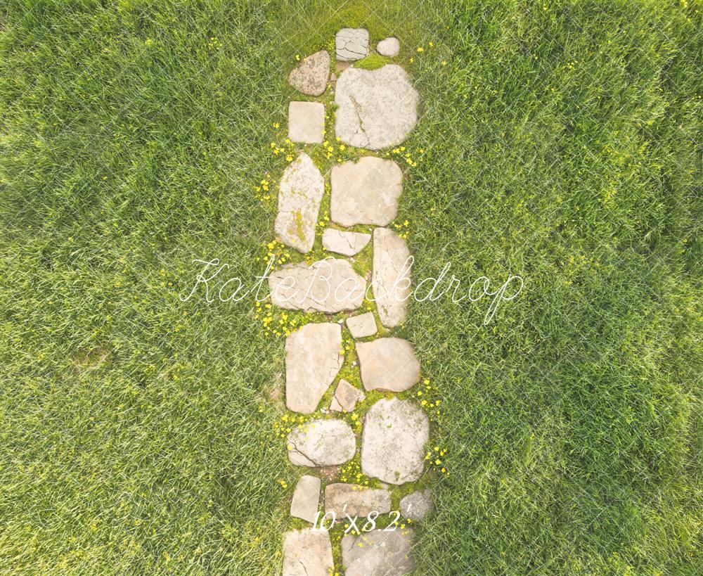 Kate Spring Stone Path In Green Grass Floor Backdrop Designed by Kate Image