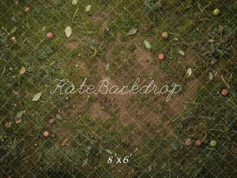 Kate Fall Fallen Apples On Grass And Dirt Floor Printed Backdrop Designed by Ashley Ward