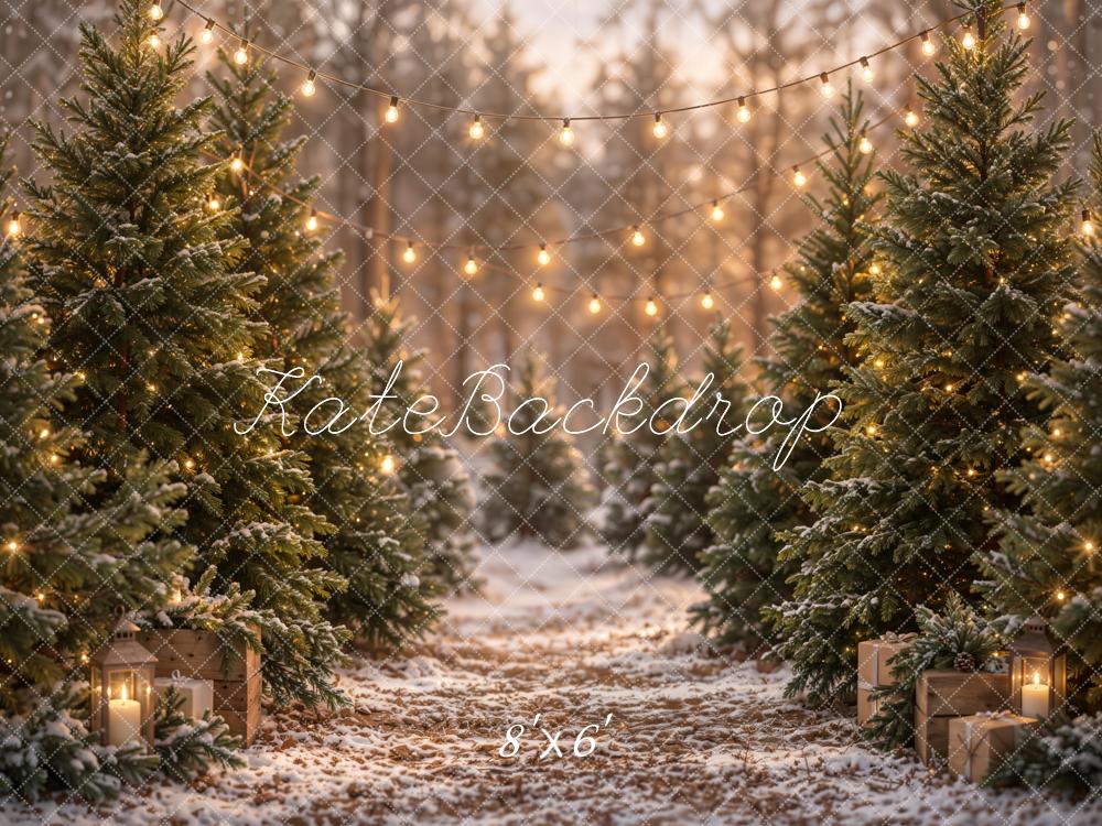 Kate Christmas Snowy Pine Trees Path String Lights Printed Backdrop Designed by Emetselch