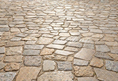 Kate Cobblestone Floor Printed Backdrop Designed by Kate Image
