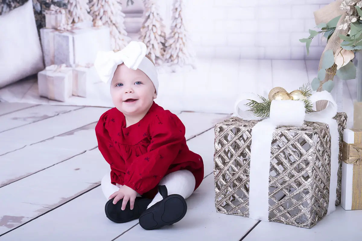 Kate Christmas White Window Wreath Backdrop Designed by Emetselch