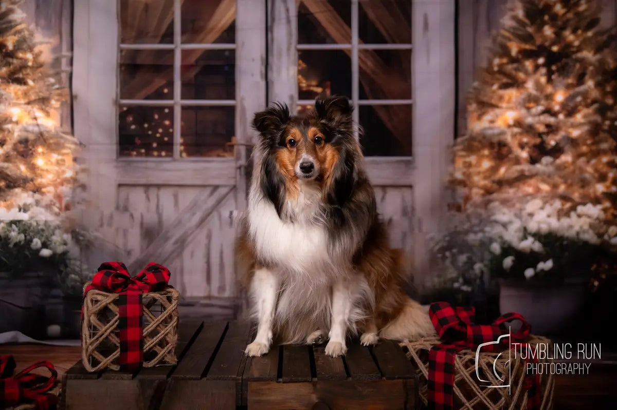 Kate Christmas Barn with Lights and Christmas Tree Backdrop Designed by Emetselch