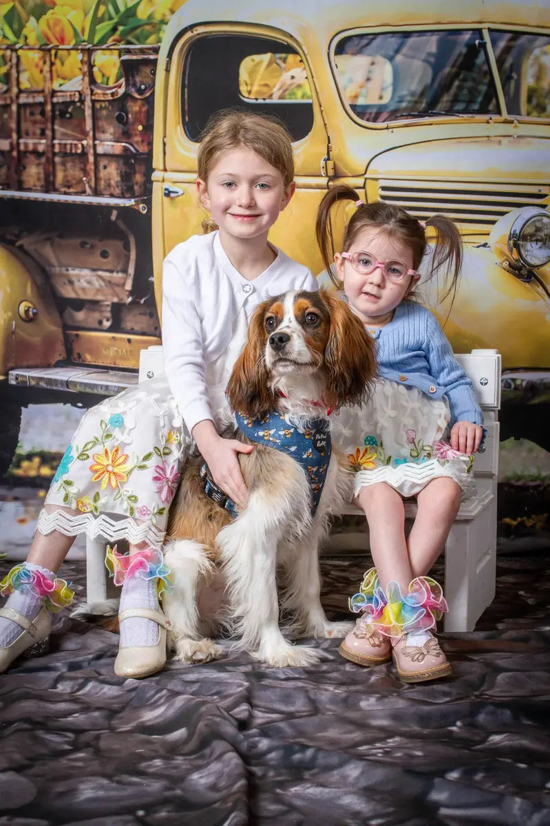 Kate Summer Yellow Flowers Truck Backdrop Designed by Emetselch