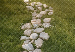 Kate Spring Stone Path In Grass Floor Printed Backdrop Designed by Kate Image