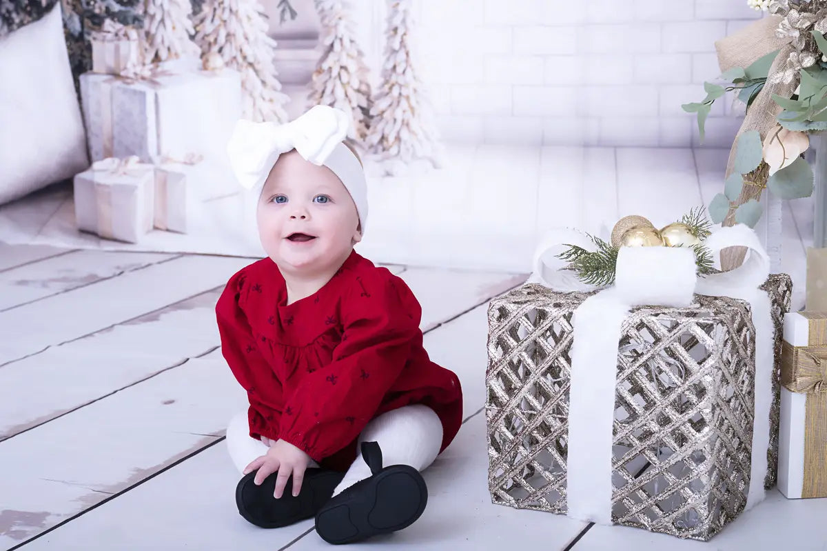Kate Christmas White Window Wreath Backdrop Designed by Emetselch