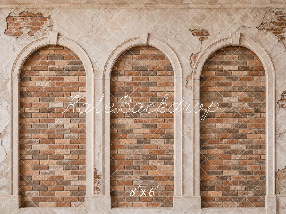 TEST Kate Vintage Brick Arched Wall Printed Backdrop Designed by Emetselch