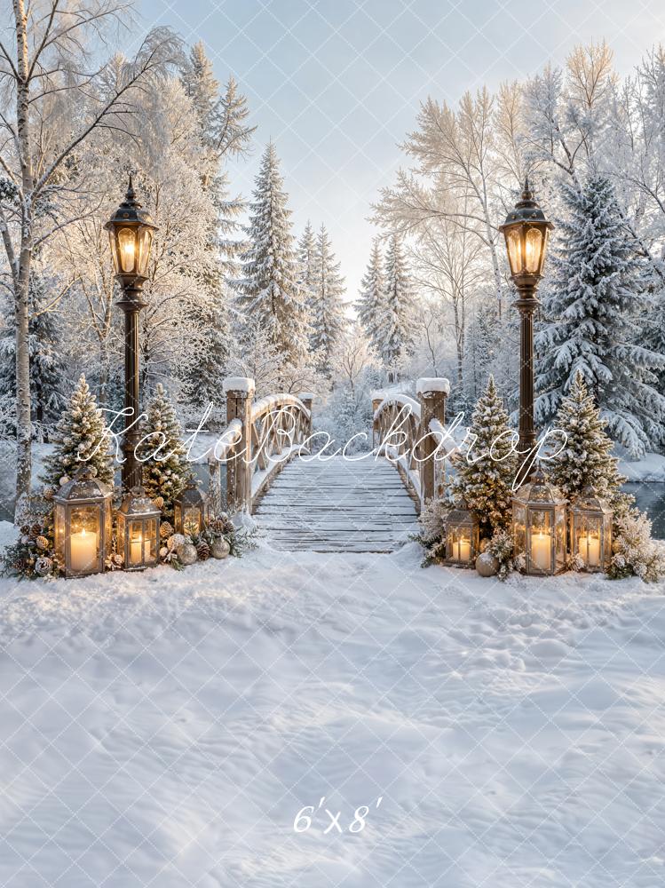 Kate Winter Bridge Path Snowy Lantern Forest Printed Backdrop Designed by Emetselch