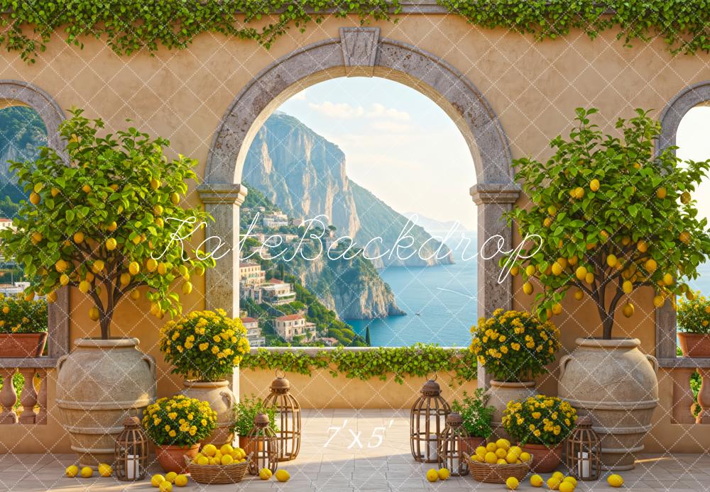 Kate Summer Mediterranean Terrace Lemons Arch Mountain Ocean View Printed Backdrop Designed by Patty Roberts