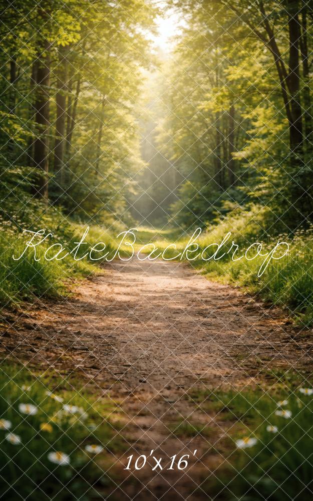 Kate Sweep Forest Path Sunlight Printed Backdrop Designed by Vertigo Productions