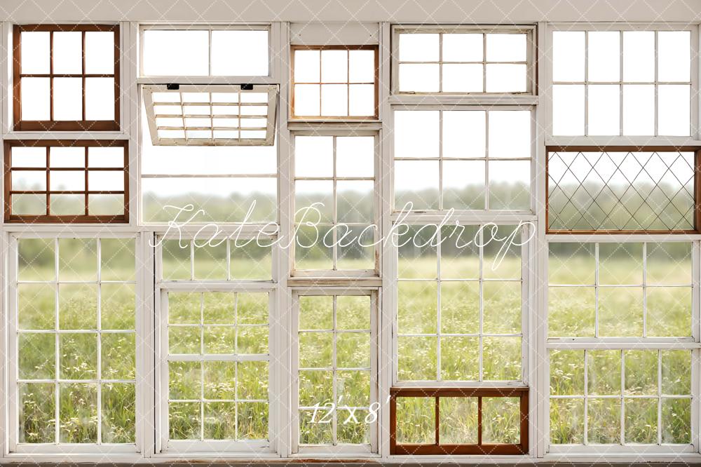 Kate Vintage Window Pane Field Printed Backdrop Designed by Mini MakeBelieve