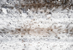 Fondo de Piso Blanco Nieve de Invierno Diseñado por Kate Image