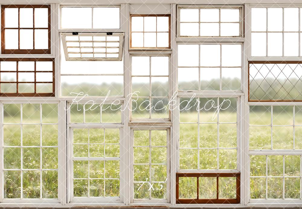 Kate Vintage Window Pane Field Printed Backdrop Designed by Mini MakeBelieve