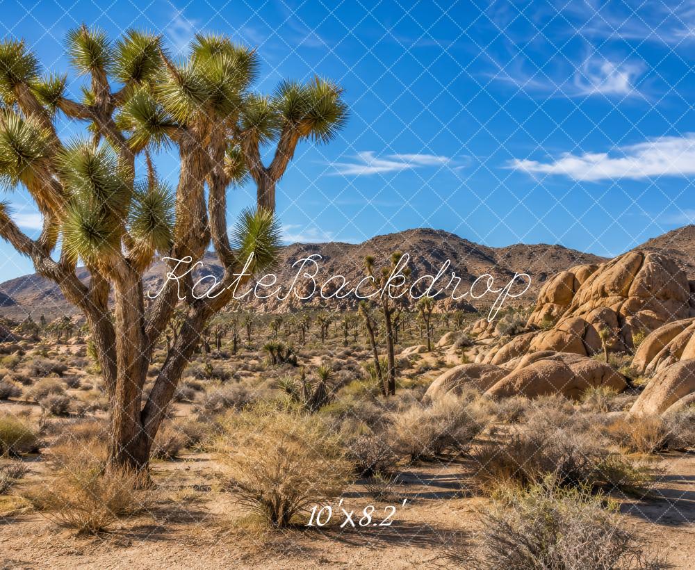 Kate Nature Joshua Tree Desert Landscape Outdoor Printed Backdrop Designed by Megan Leigh Photography