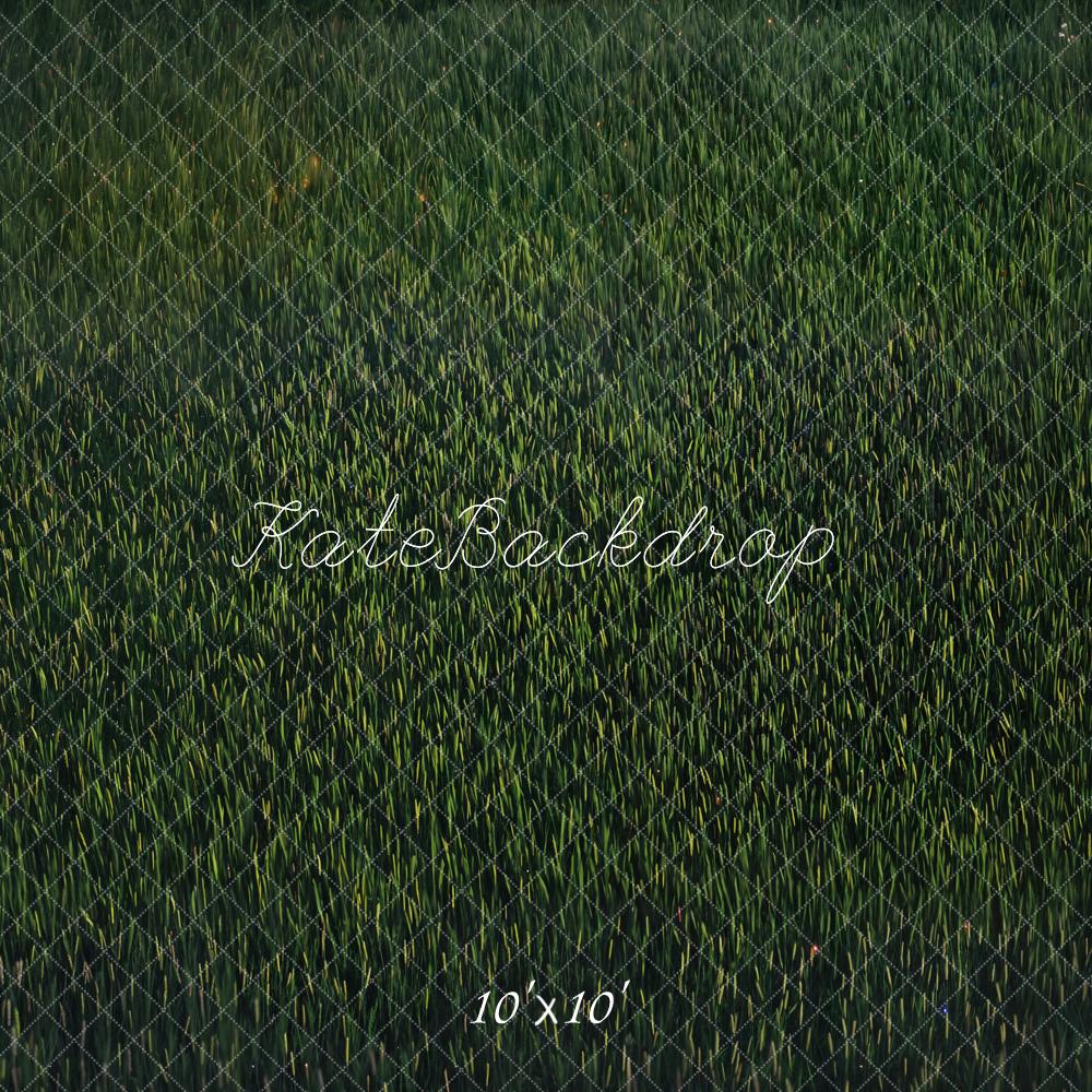 Zomer Donkergroen Grasvloer Foto Achtergrond Designed by Kate Image