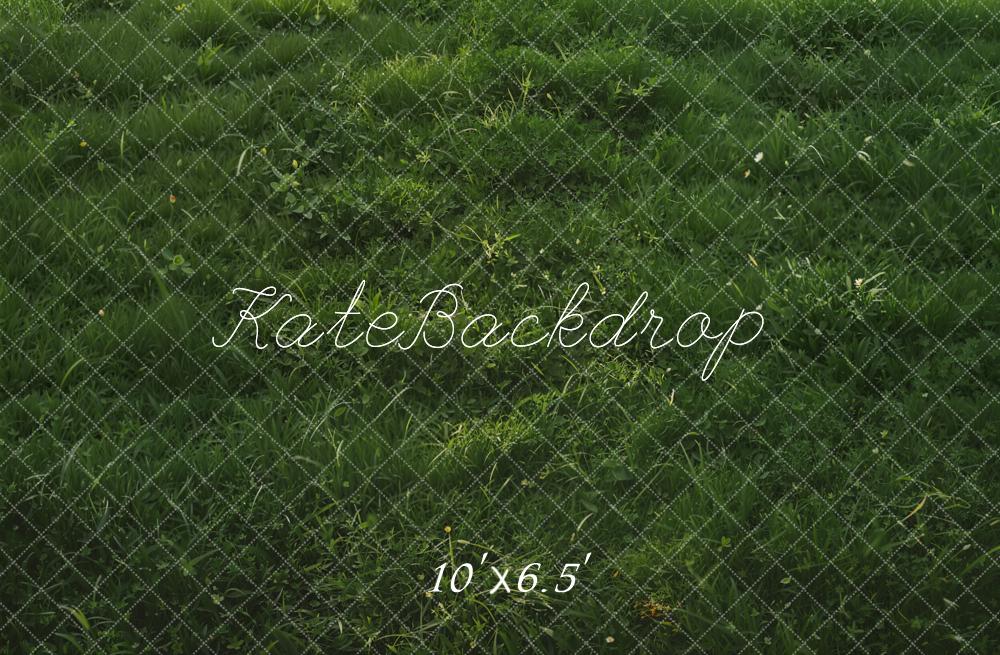 Kate Lush Green Grass Floor Backdrop Designed by Kate Image