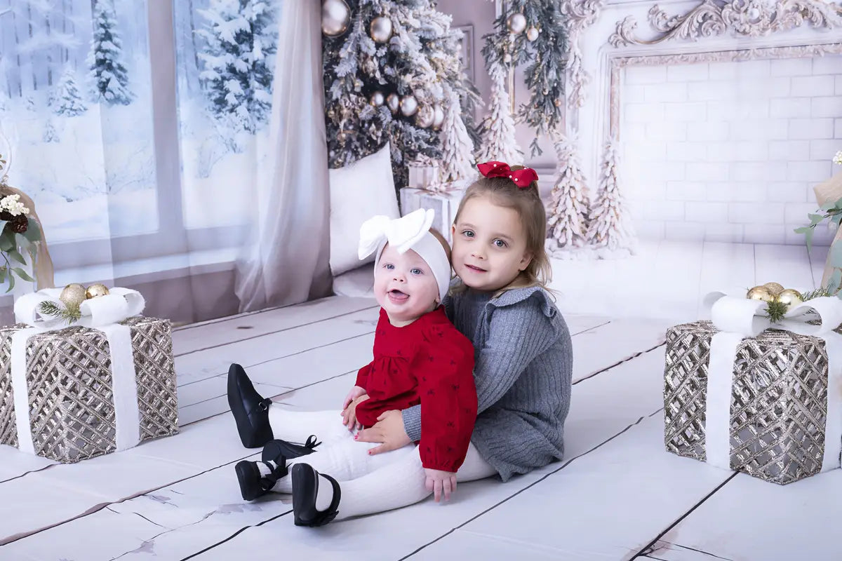 Kate Christmas White Window Wreath Backdrop Designed by Emetselch