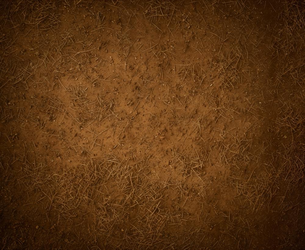 Kate Abstract Brown Dirt Ground Texture Floor Backdrop Designed by Emetselch
