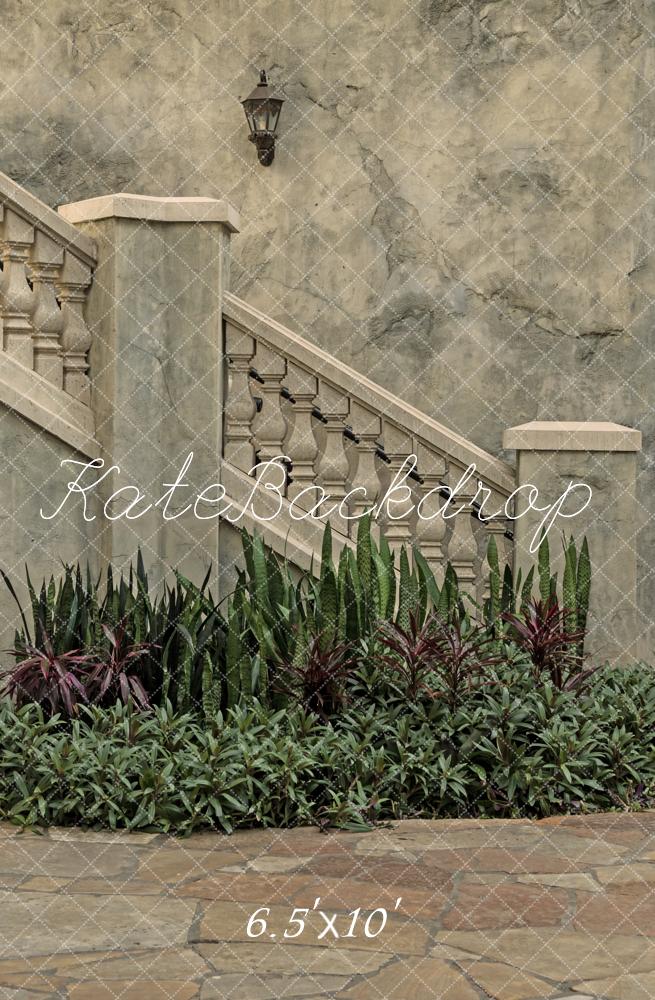 Fondo de plantas de escaleras de piedra de arquitectura vintage diseñado por Michele Ernst Photography
