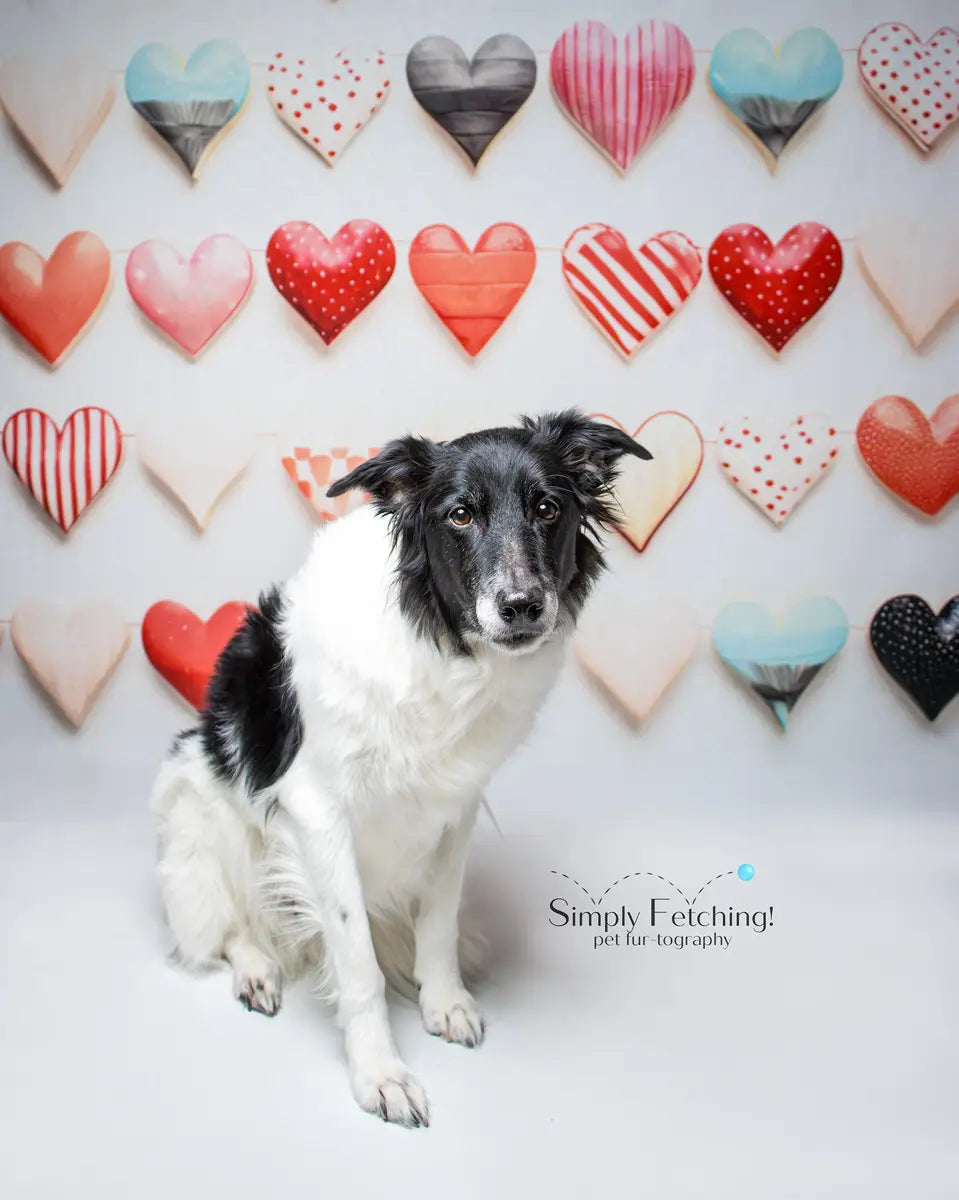 Kate Ceramic Valentines Day Hearts Printed Backdrop Designed by Patty Robert