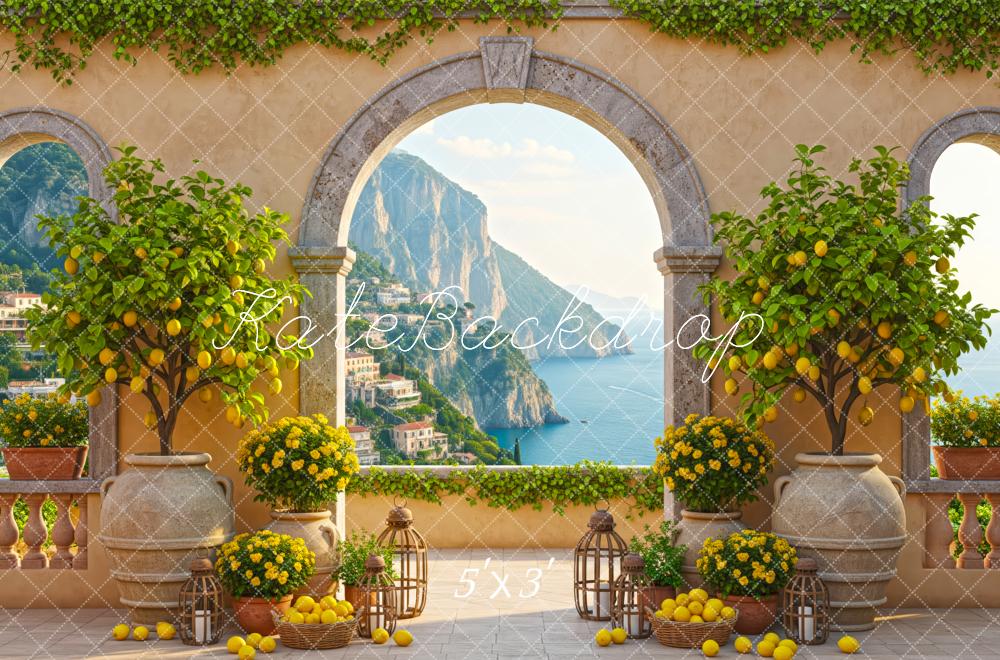Kate Summer Mediterranean Terrace Lemons Arch Mountain Ocean View Printed Backdrop Designed by Patty Roberts
