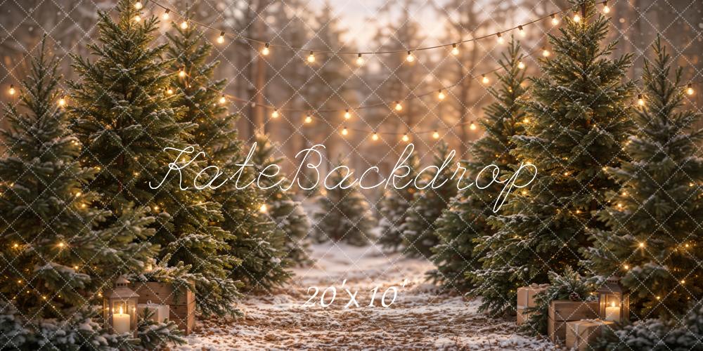 Kate Christmas Snowy Pine Trees Path String Lights Printed Backdrop Designed by Emetselch