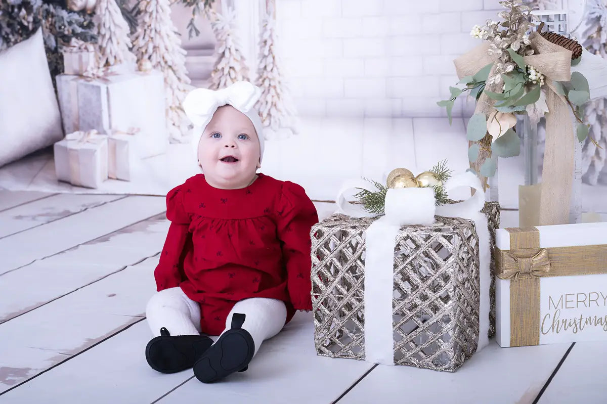 Kate Christmas White Window Wreath Backdrop Designed by Emetselch