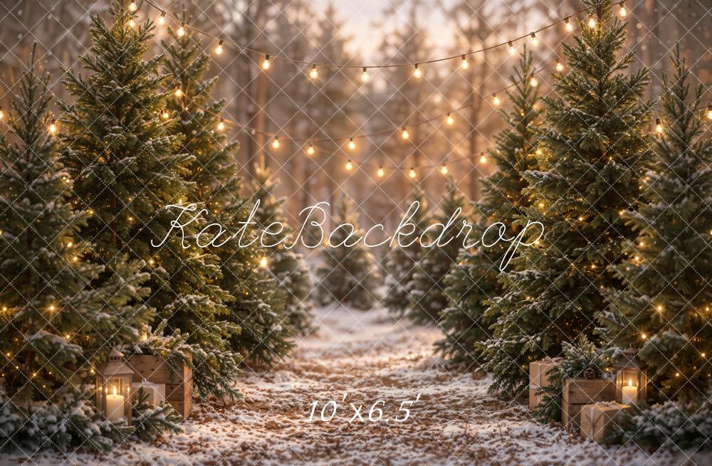 Kate Christmas Snowy Pine Trees Path String Lights Printed Backdrop Designed by Emetselch