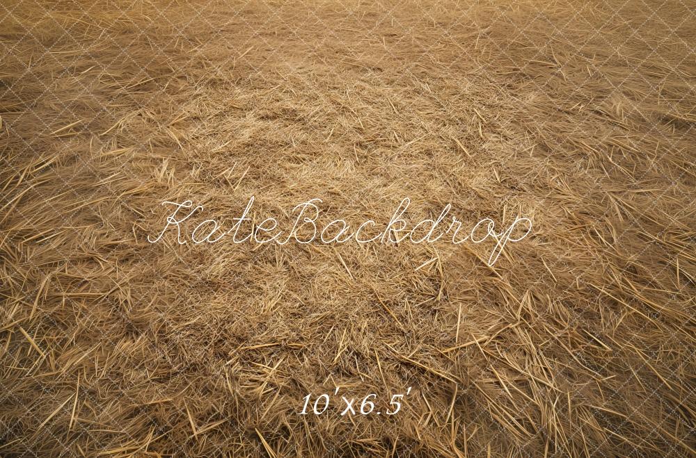 Sfondo per pavimento di campo di fieno rustico Designed by Mini MakeBelieve