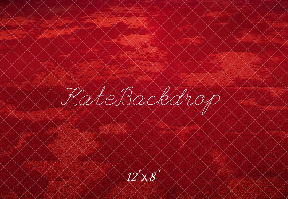 Kate Red Abstract Texture Floor Backdrop Designed by Kate Image