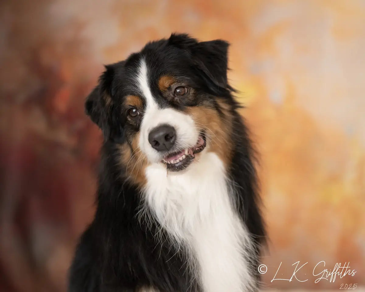 Kate Abstract Texture Golden Backdrop Designed by Emetselch