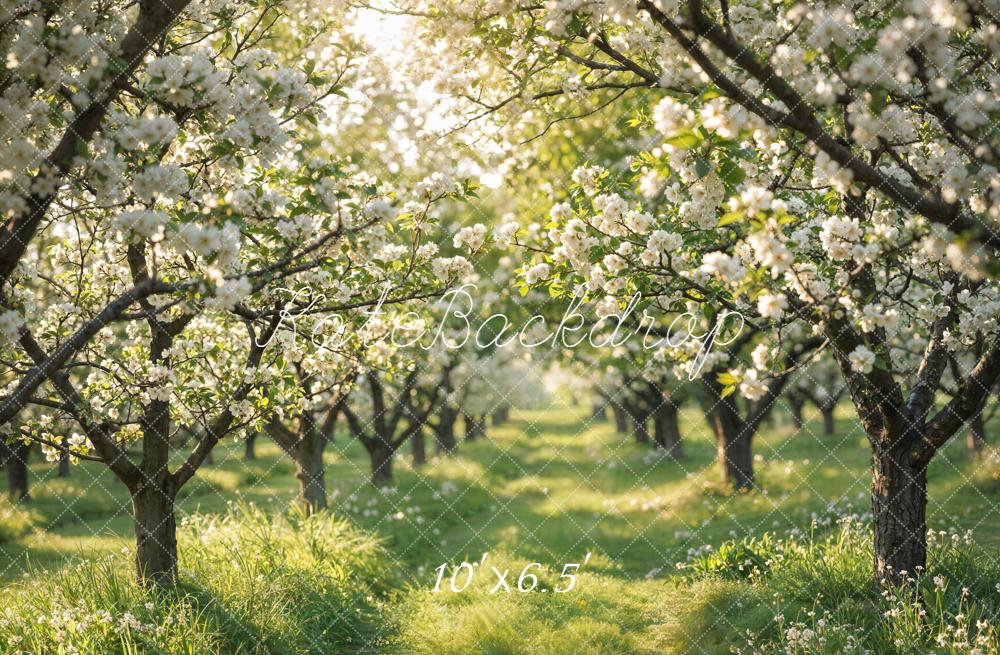 Kate Spring Blossom Orchard Pathway Backdrop Designed by Emetselch