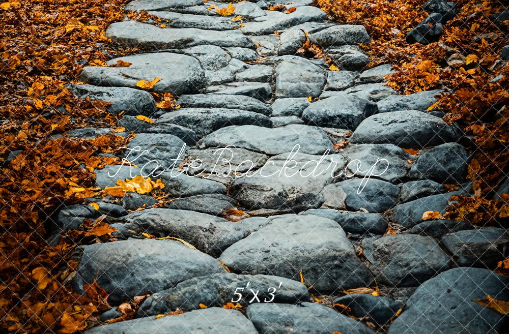 Kate Fall Cobblestone Path Backdrop Designed by Emetselch