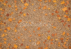 Kate Fall Pebble Ground Maple Leaves Floor Printed Backdrop Designed by Emetselch