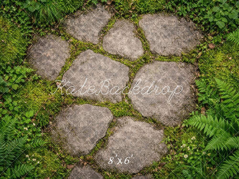Kate Cobblestone Path With Ferns And Grass Floor Printed Backdrop Designed by Vertigo Productions