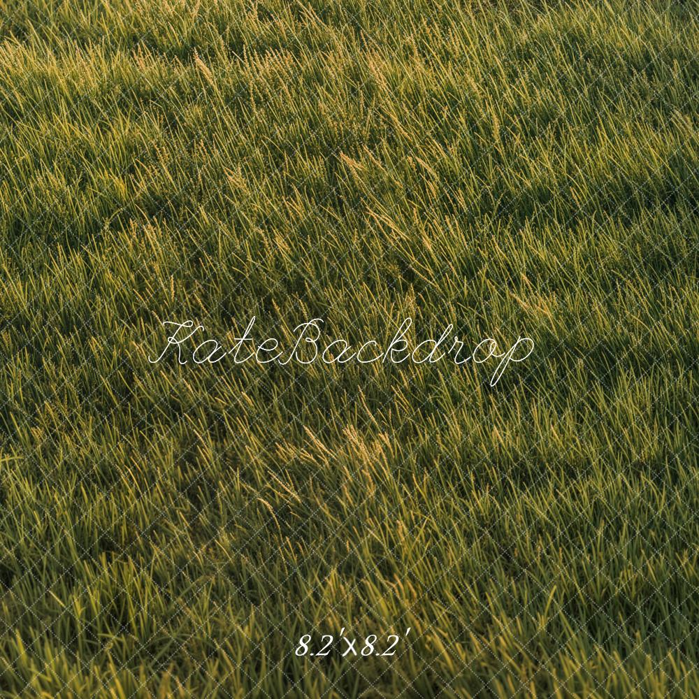 Green Grass Sunlight Floor Backdrop Designed by Emetselch