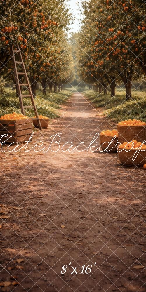 Kate Sweep Orchard Orange Trees Pathway Printed Backdrop Designed by Vertigo Productions