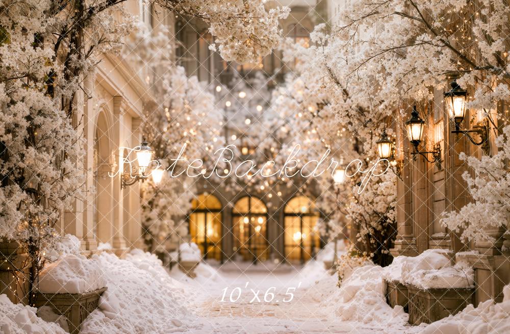 Kate Winter Snowy Cherry Blossom Alley Lanterns Printed Backdrop Designed by Emetselch