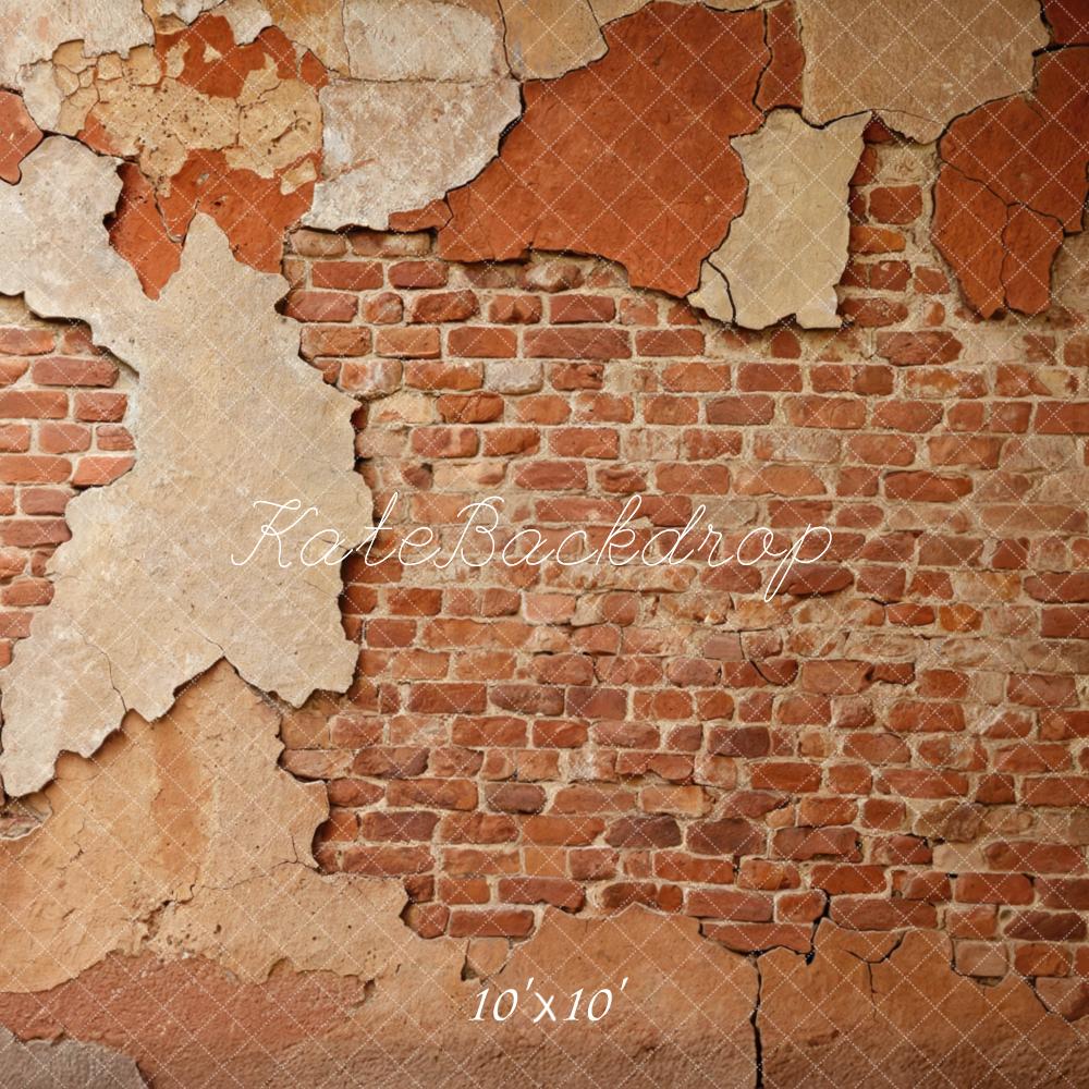 Kate Vintage Brick Wall Peeling Plaster Backdrop Designed by Mini MakeBelieve