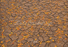 Fall Fallen Leaves On Ground Foto Achtergrond Designed by Emetselch