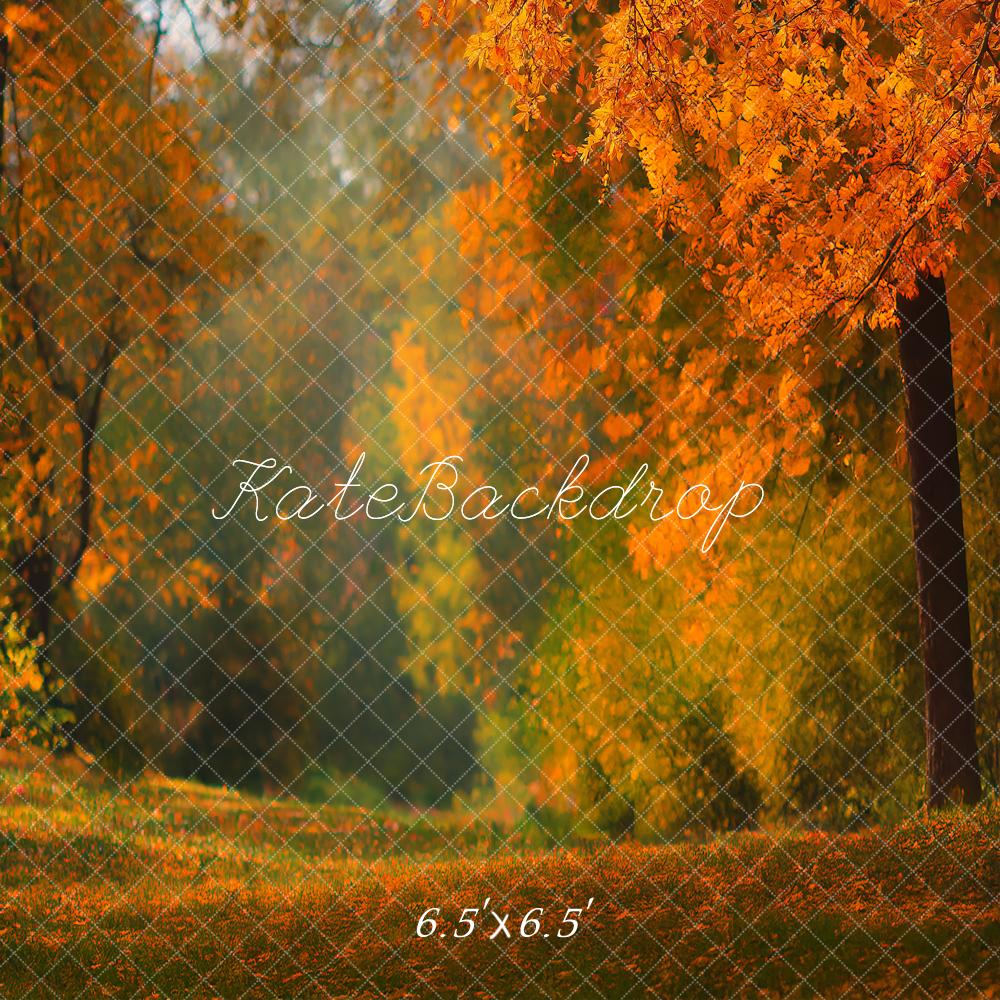 Kate Fall Orange Foliage Forest Printed Backdrop Designed by Angela Miller