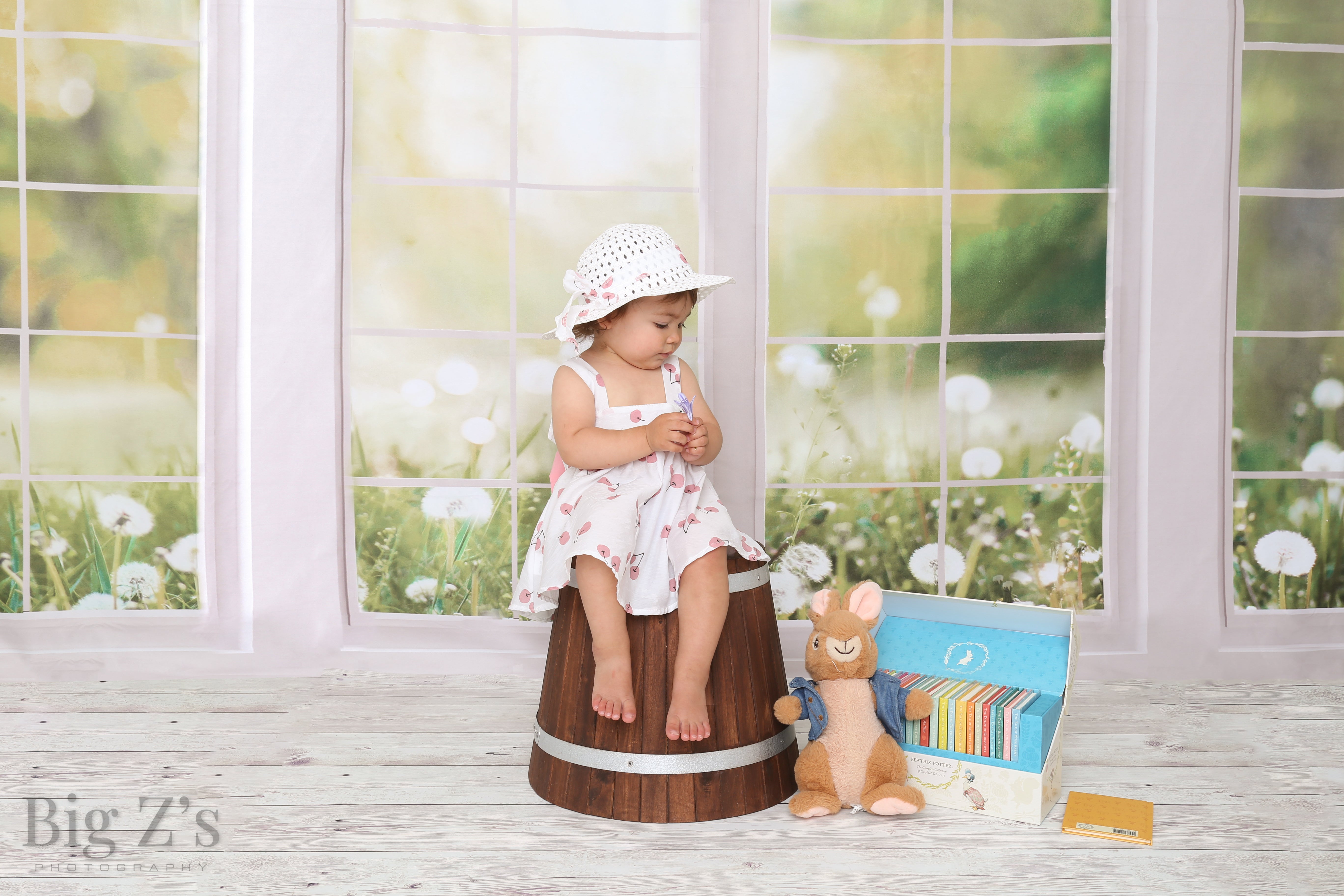 Sfondo in pile per finestra primavera estate giardino disegnato da Emetselch