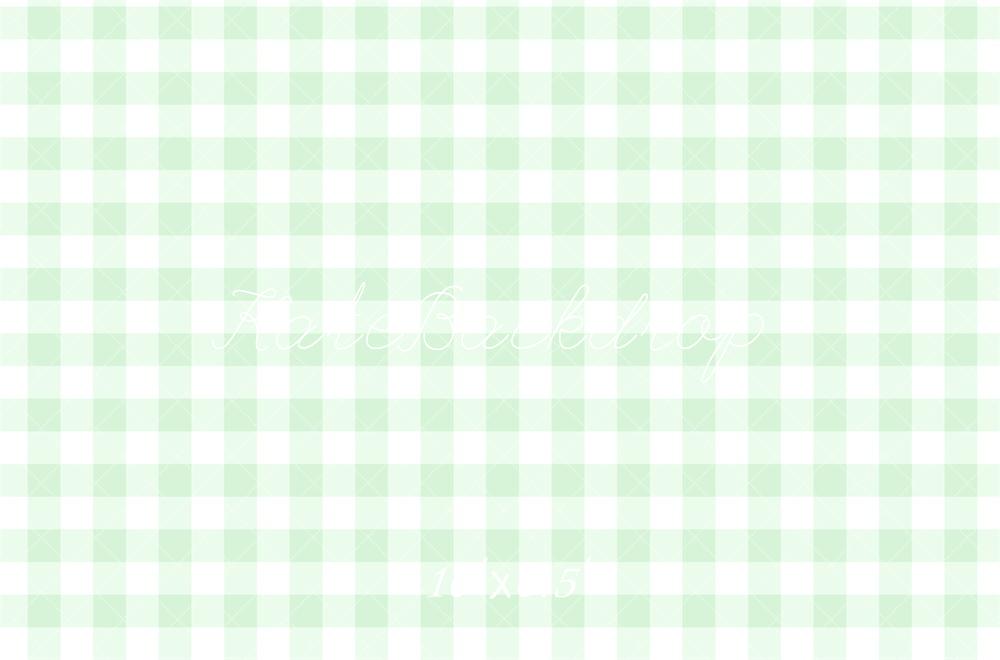 Kate Mint Green Gingham Pattern Backdrop Designed by Mandy Ringe Photography