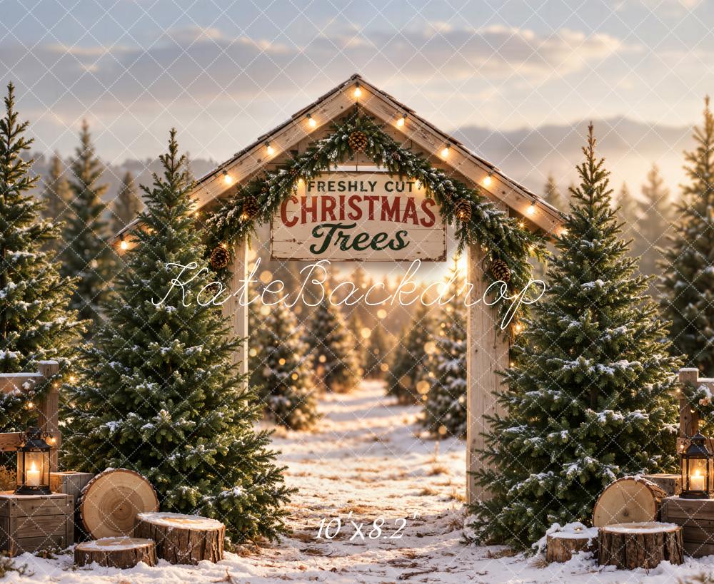 Lightning Deal Kate Christmas Snowy Tree Farm Arch Rustic Wood Printed Backdrop Designed by Emetselch