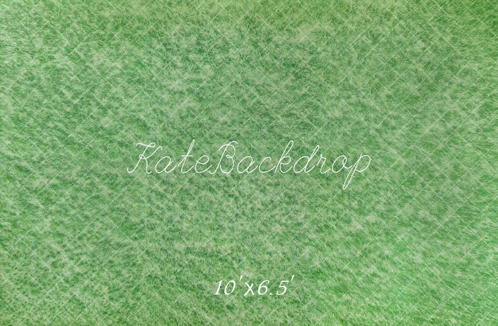Kate Spring Green Grass Floor Backdrop Backdrop Designed by Emetselch