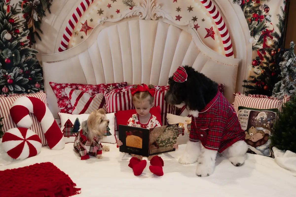 Kate Christmas Candy Cane Arch Headboard Upholstered Backdrop Designed by Emetselch