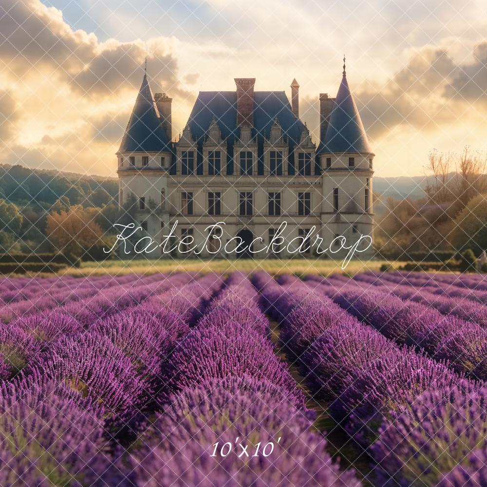 Campo di lavanda da sogno castello sfondo Designed by Emetselch