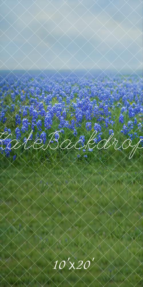 Spring Floral Bluebonnet Meadow Foto Achtergrond Designed by Emetselch
