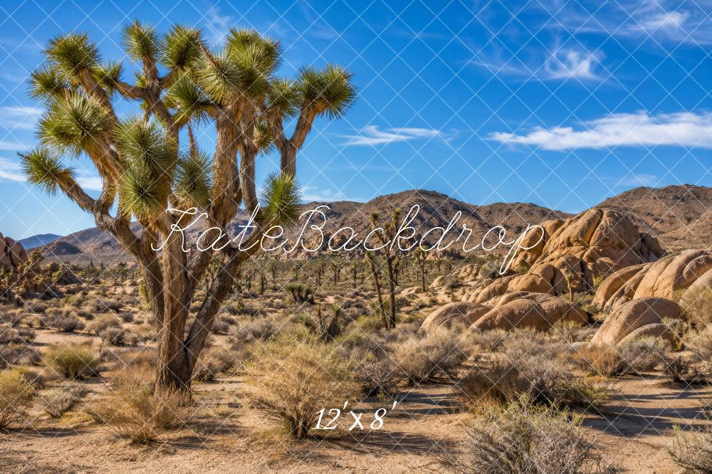 Kate Nature Joshua Tree Desert Landscape Outdoor Printed Backdrop Designed by Megan Leigh Photography