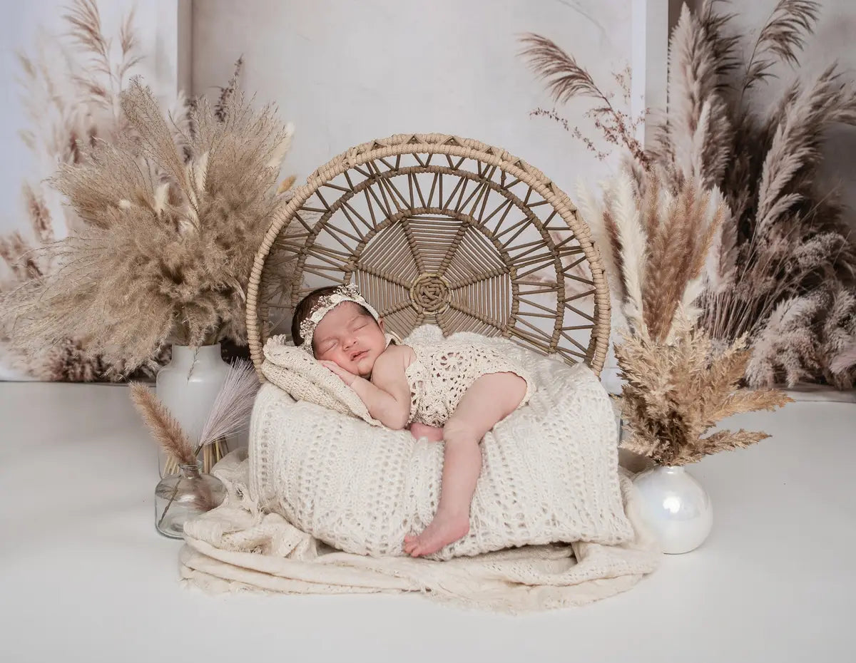 Fondo de Pampas Grass Arco Boho Diseñado por Emetselch