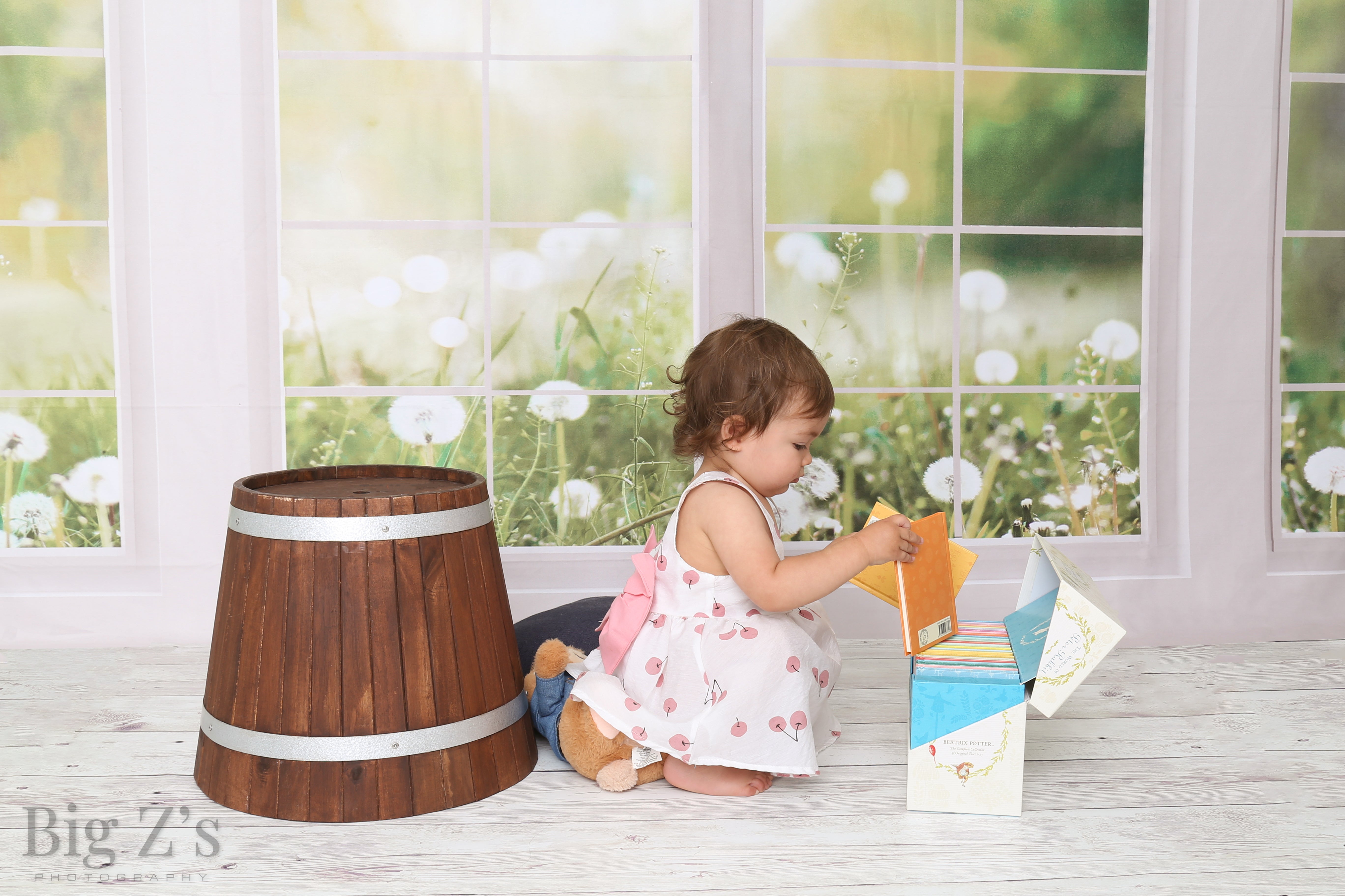 Sfondo in pile per finestra primavera estate giardino disegnato da Emetselch